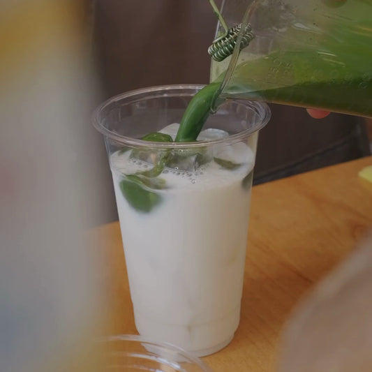 Electric Frother Matcha & Milk  (Stainless Steel)